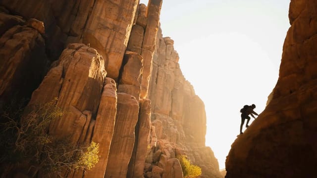 IATI Grandes Viajantes