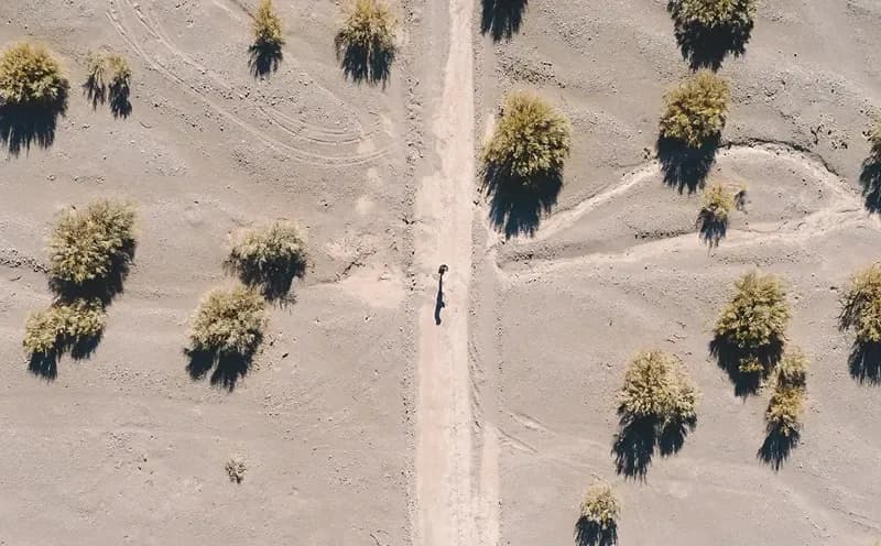 paisaje